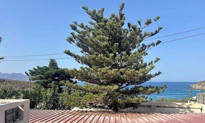Istron Apartamento | Apartment on the beach of Voulisma, Crete