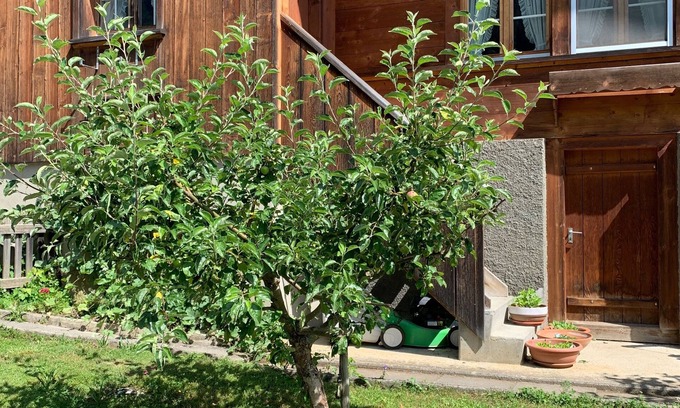Gadmen Apartamento | Apartamento en la granja
