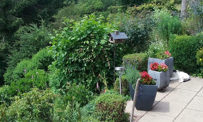 Hofen Apartamento | Apartment "Perlenbachtal" with Mountain View & Wi-Fi