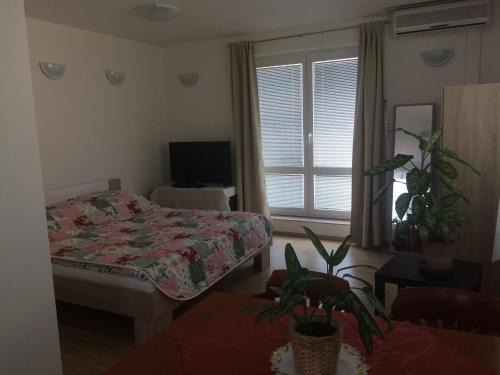 Hodkovicky Apartamento | Apartment Praha 4