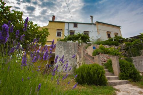 Cres Apartamento | Apartment Vidovići