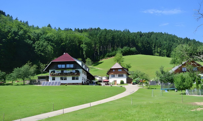 Hausach Apartamento | Apartamento 'Vordersbergerhof' con vistas a la montaña, terraza privada y Wi-Fi