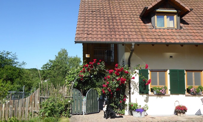Kleinsteinhausen Apartamento | Apartment Waldblick
