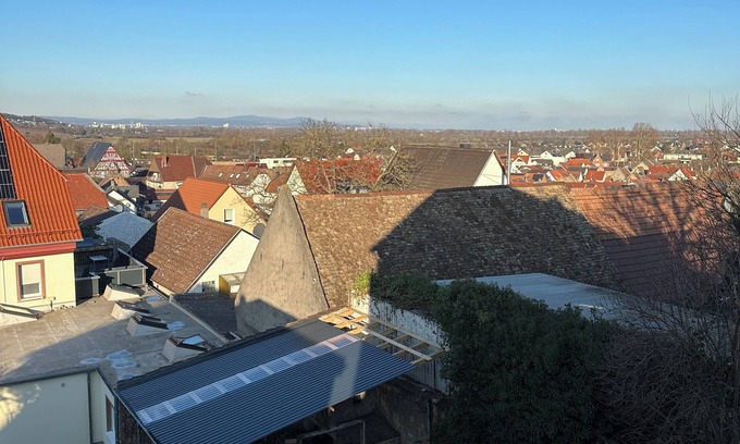 Mainz-Bingen Apartamento | Apartment with a view