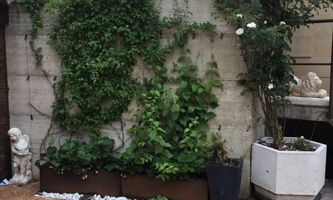 Ezcaray Apartamento | APARTAMENTO CON JARDIN
