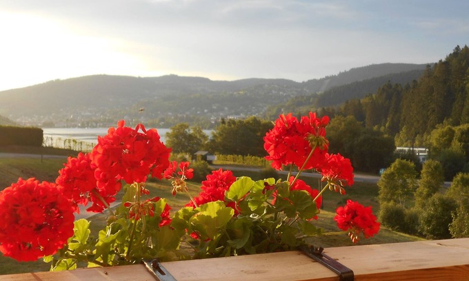 Gerardmer Apartamento | Apartment with lake view in residence