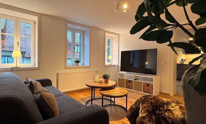 Freudenstadt Apartamento | Apartment with roof terrace on the market square - Pets welcome!