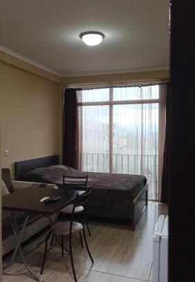 Magnetiti Apartamento | Apartment Zhemchuzhina Ureki-3 СТУДИО
