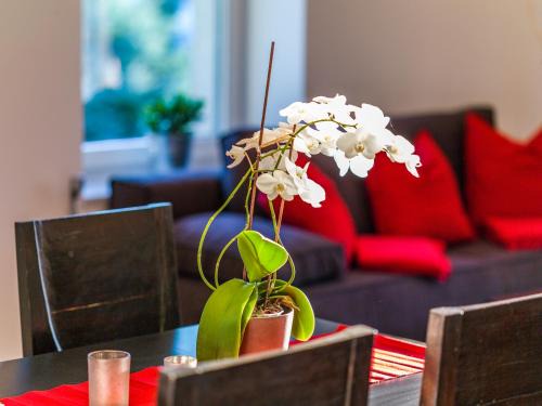 Innsbruck Apartamento | Apartment Zittera - Adults only