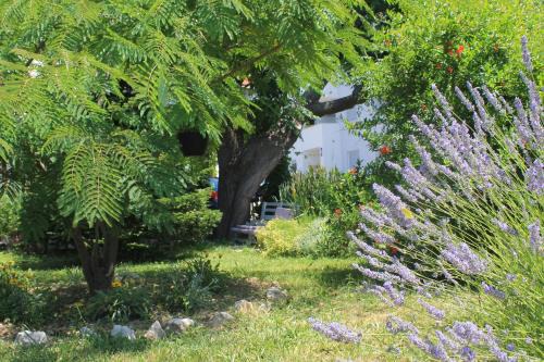 Supetarska Draga Apartamento | Apartments 501 - Rab island oasis retreat
