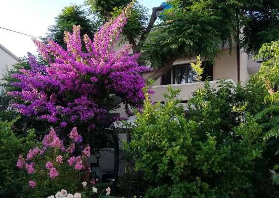 Rab Apartamento | Apartments Fabijanić