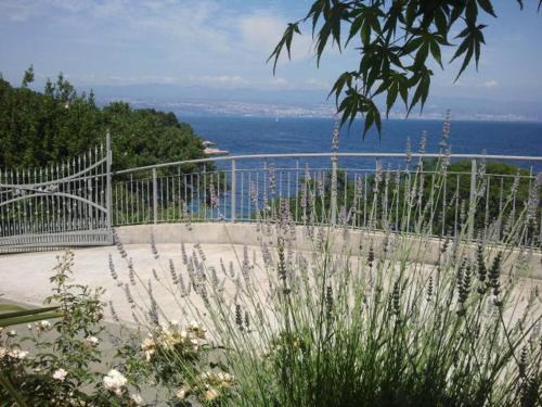 Medveja Apartamento | Apartments Mira
