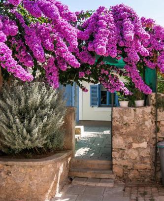 Veli Losinj Apartamento | Apartments Relax