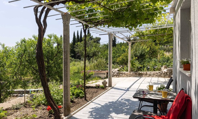 Buici Apartamento | Apartments Roza