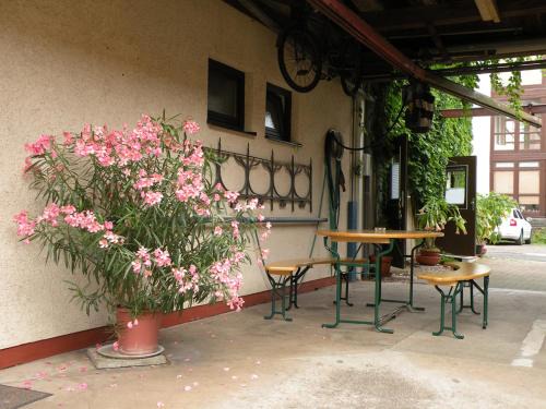 Eisenach Apartamento | Apartments Schramm