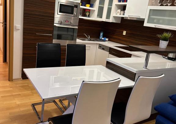 Brno Apartamento | Apartments Spačilova nearly center