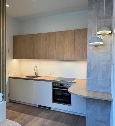 Neuchatel Apartamento | Apparemment in the center of Neuchâtel Serenity