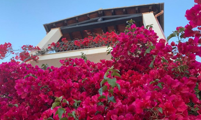 Santa Maria Navarrese Apartamento | Appartamenti Supramonte