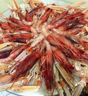Savelletri Apartamento | Appartamenti Del Pescatore