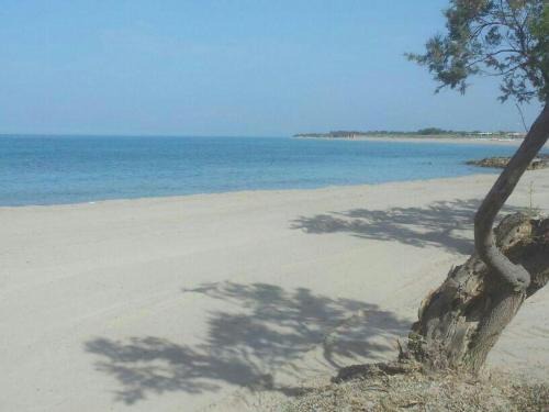 Torre Mozza Apartamento | Appartamento Alba vista spiaggia