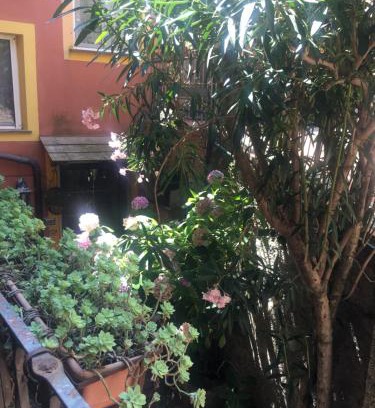 Lavaggiorosso Apartamento | Appartamento Fiordaliso