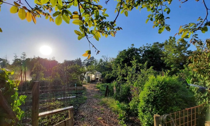 Baflo Cama Y Desayuno | Appartement 3 met terras aan de tuin van Op de Roemte