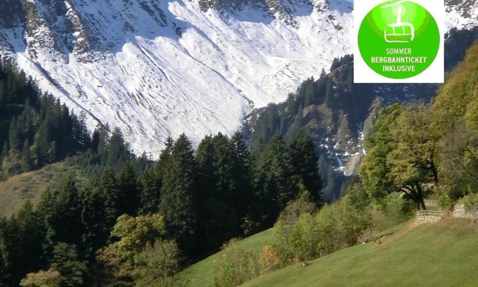 Mittelberg Apartamento | Appartement Bergahorn
