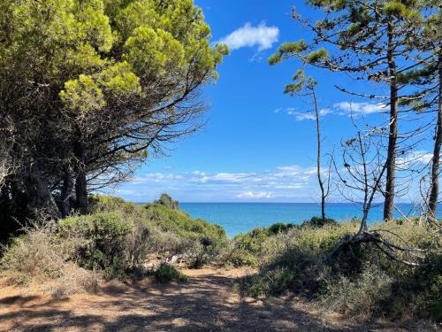 Bravone Apartamento | Appartement bord de mer T4 marina di bravonne N5-6