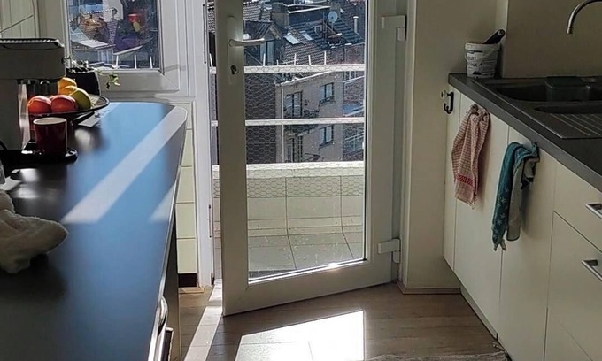 Sint-Jans-Molenbeek Apartamento | Appartement Calme et Cosy Proche du Centre