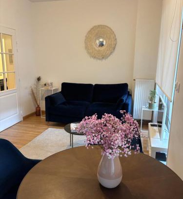 Bourg-l'Eveque Apartamento | APPARTEMENT CENTRE VILLE AVEC TERRASSE ET PARKING SECURISE