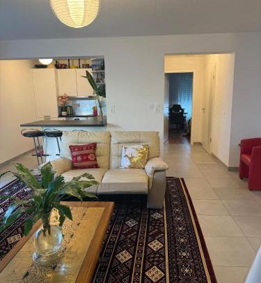 Saint-Louis Apartamento | Appartement Confort centre ville Saint-Louis Accès Bâle et Allemagne
