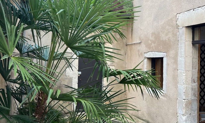 Auxerre Apartamento | Appartement Cosy Plein Centre - Espaces Extérieurs Privés