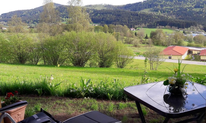 Bodenmais Apartamento | Appartement Harlachberg-Blick-2