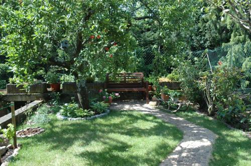Ribeauville Apartamento | Appartement Mirabelle avec Jardin - Centre Ribeauvillé