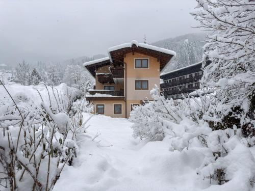 Zell am See Apartamento | Appartement Schlosser