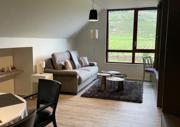 Kientzheim Apartamento | Appartements de Manon au cœur des vignes