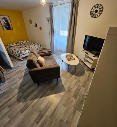 Satolas-et-Bonce Apartamento | Appartements entiers proche Aéroport - ZAC Chesnes - CNPE du Bugey Check-In 24h7J