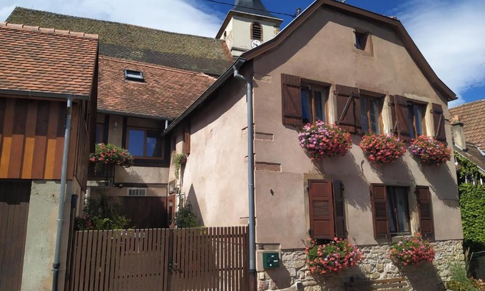 Ottrott Apartamento | Appartments Rue Des Châteaux