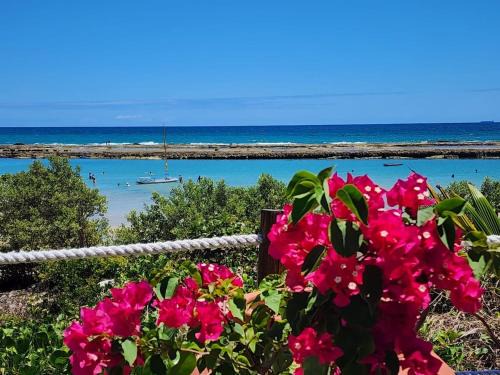 Porto de Galinhas Apartamento | Apto Beira Mar-Muro Alto-Porto de Galinhas-Polin