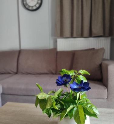 Kariotai Apartamento | Aqua Apartment