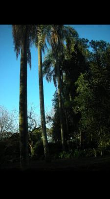 Puerto Leoni Casa | Arami Lodge