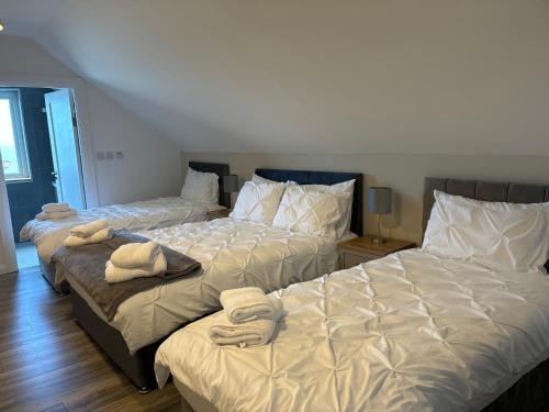 Lettermullan Cama Y Desayuno | Aran views