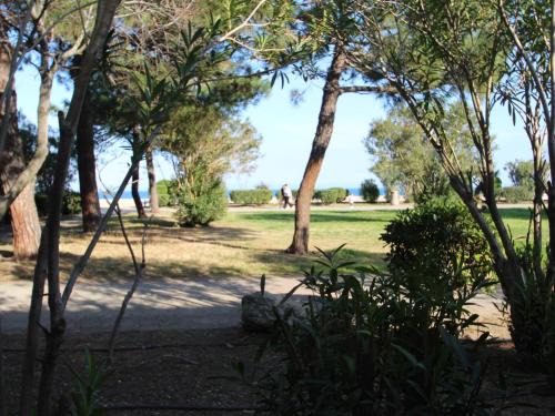 Plage d'Argeles Apartamento | Argelès - T2 avec Coin Cabine - À 2 pas du port et de la plage - FR-1-309-254