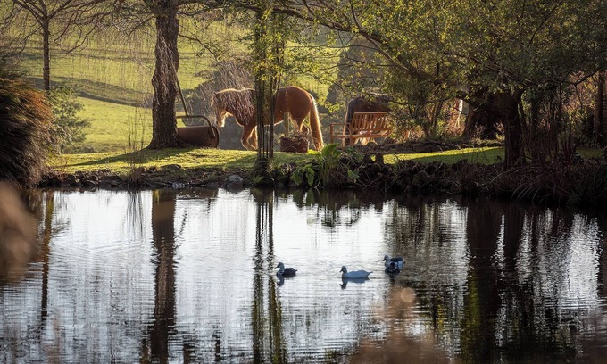 Yolla Apartamento | Arion Park Clydesdale Farmstay in Yolla