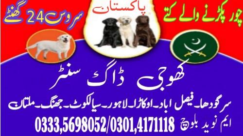 Faisalabad Apartamento | Army Dog Center Faisalabad