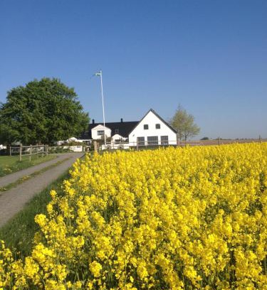 Borrby Apartamento | Arnhög Farm