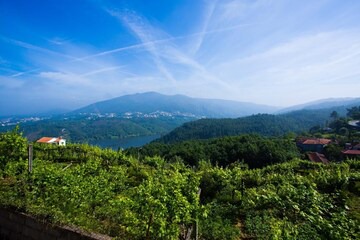 Castelo de Paiva Casa | Arrabia Bunga Douro in Raiva