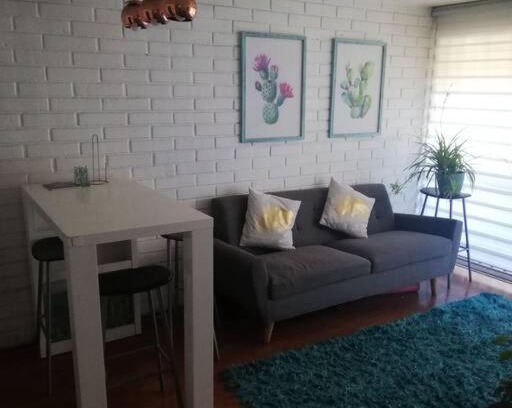 Barrio Italia Apartamento | Arriendo depto diario.