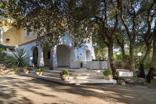 Dorgali Apartamento | Art House