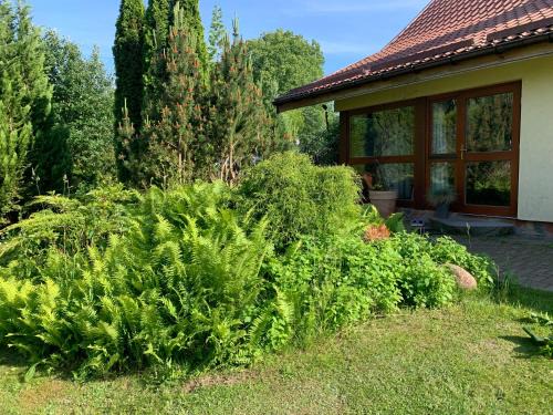 Gizycko Apartamento | Artystyczna sielanka